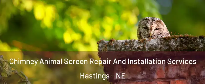  Chimney Animal Screen Repair And Installation Services Hastings - NE